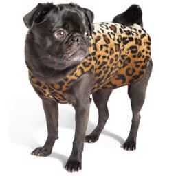 GoldPaw Stretch Fleece Pullover Leopard design